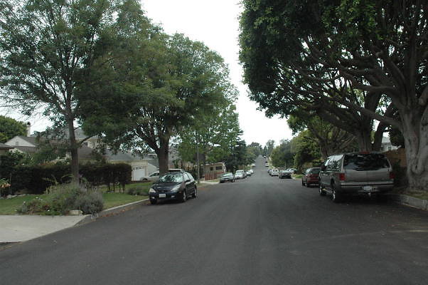 DSC 0046