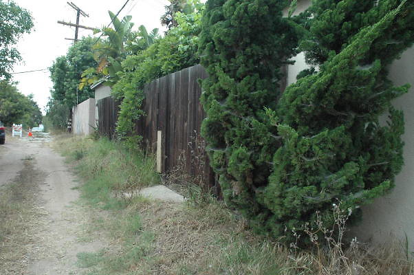 DSC 0053