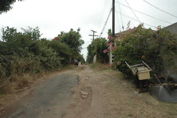 DSC 0050