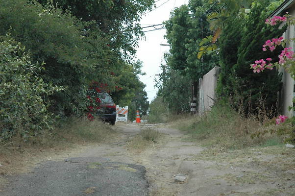 DSC 0049