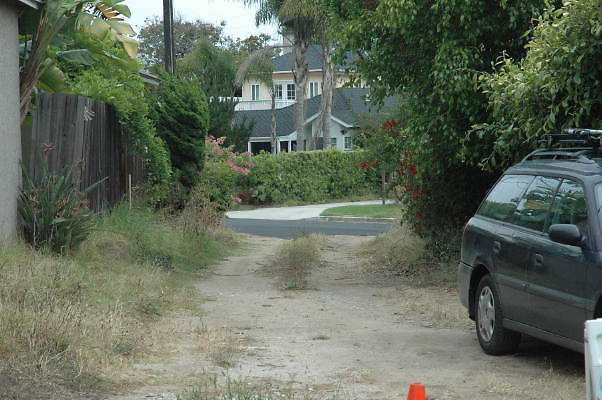 DSC 0061