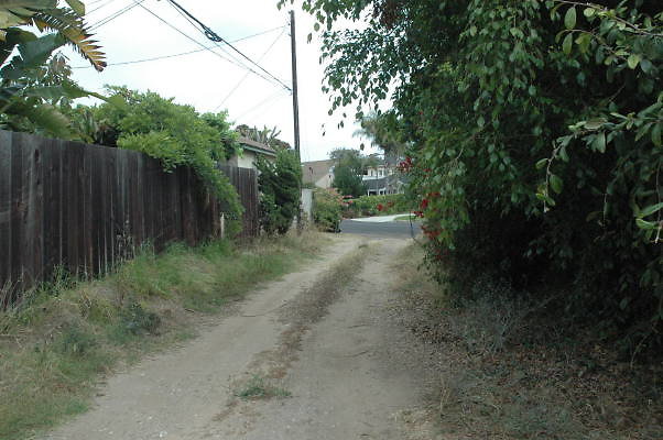 DSC 0064