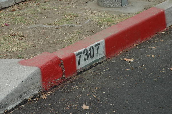 DSC 0145