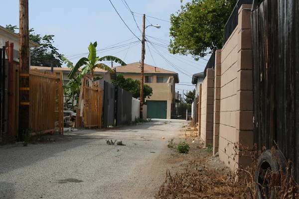 IMG 0489
