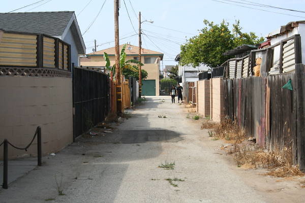 IMG 0486