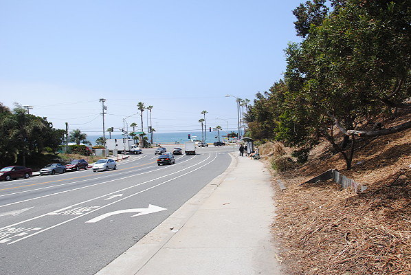 DSC 0031