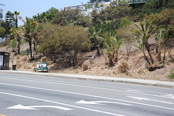 DSC 0034