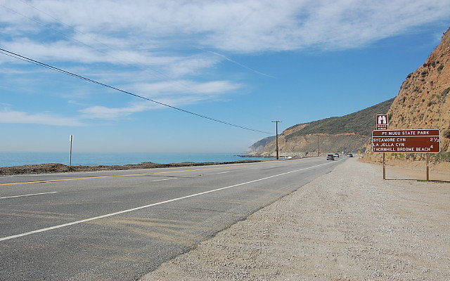 DSC 0095
