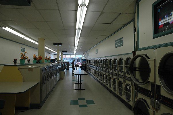 DSC 0005