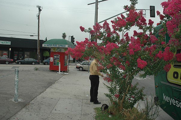 DSC 0048