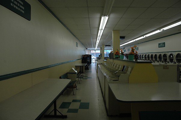 DSC 0008