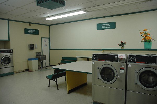 DSC 0011
