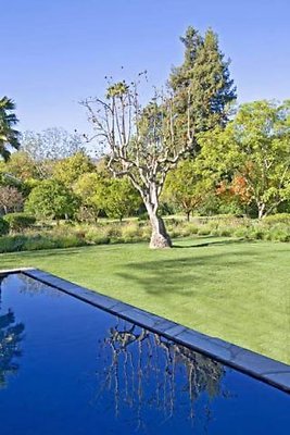 6153Bonsall34