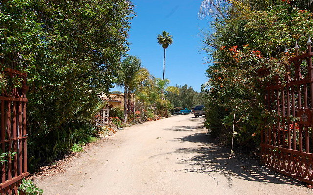 DSC 0006