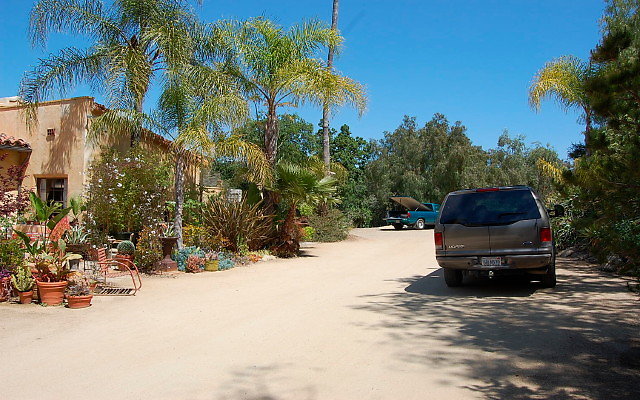 DSC 0003
