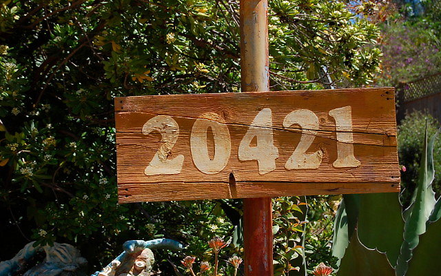 DSC 0004