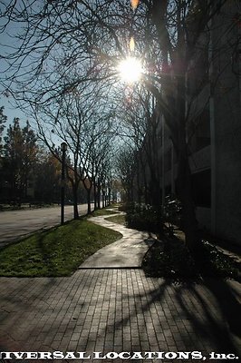 PC-DSC 0088