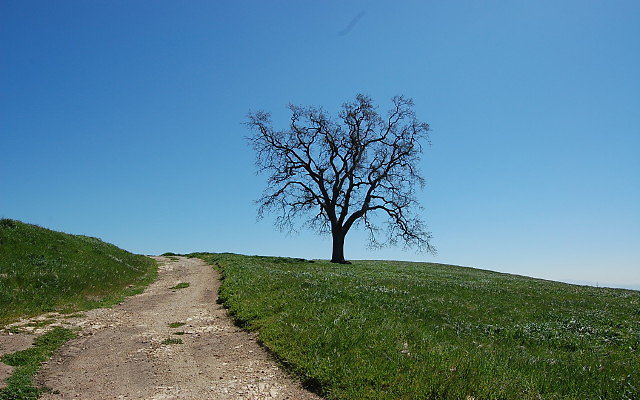 DSC 0046