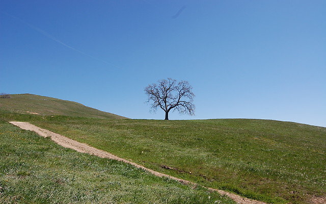 DSC 0036