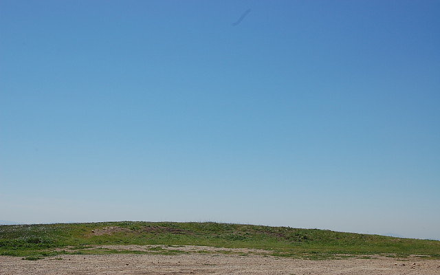 DSC 0004