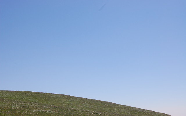 DSC 0044