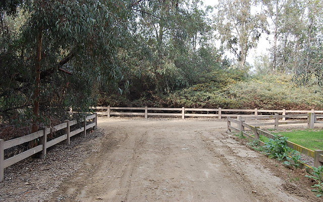 DSC 0395