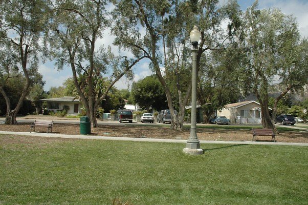 DSC 0074