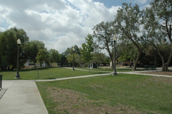 DSC 0073