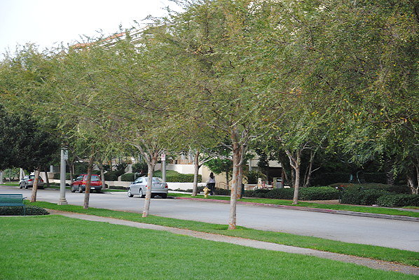 DSC 0105