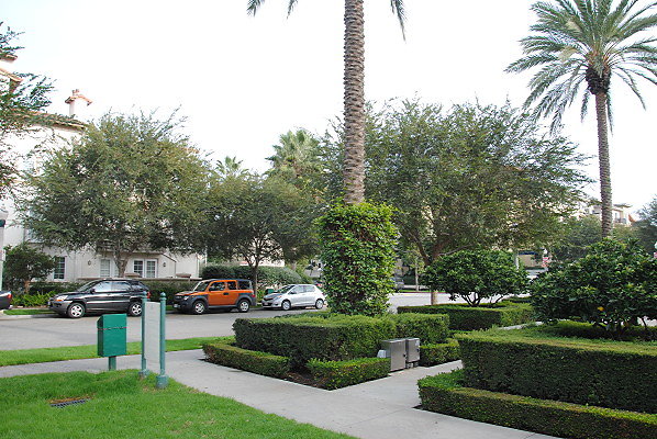 DSC 0074