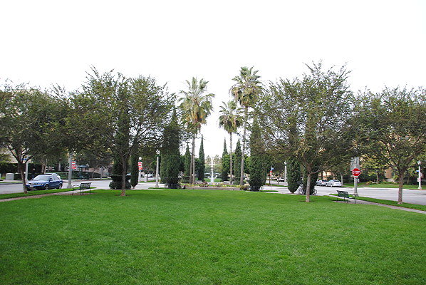 DSC 0116