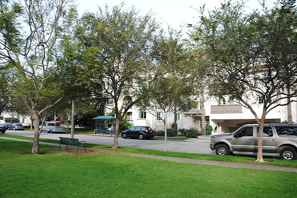 DSC 0073
