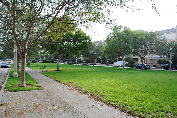 DSC 0080