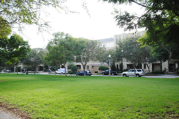 DSC 0081