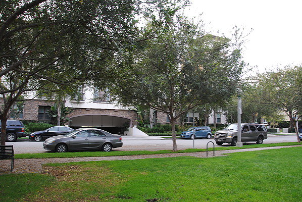 DSC 0115