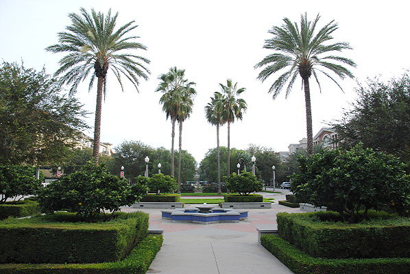 DSC 0075