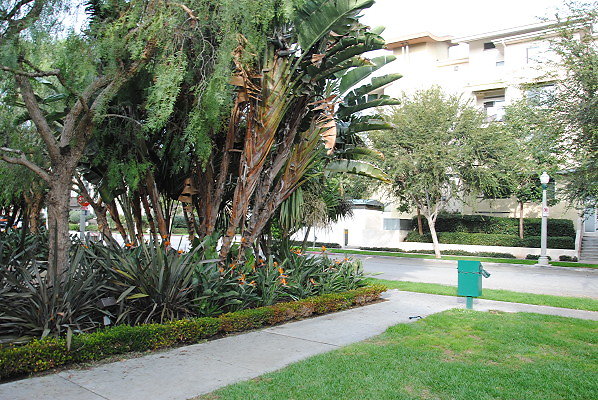 DSC 0099