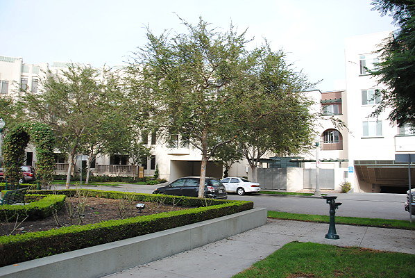 DSC 0090