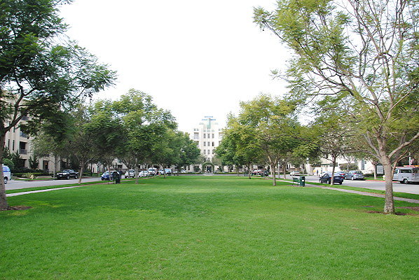 DSC 0072