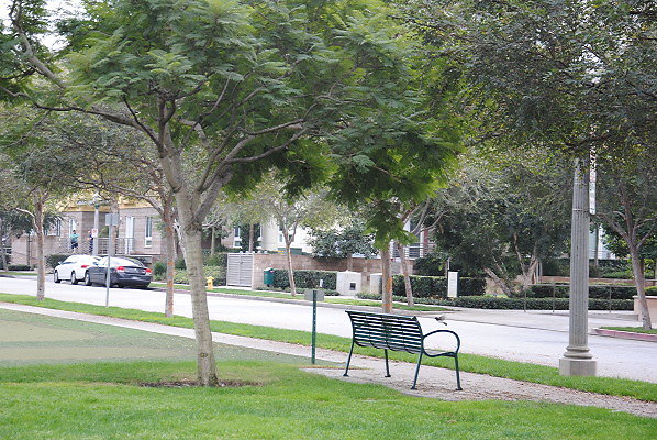 DSC 0096