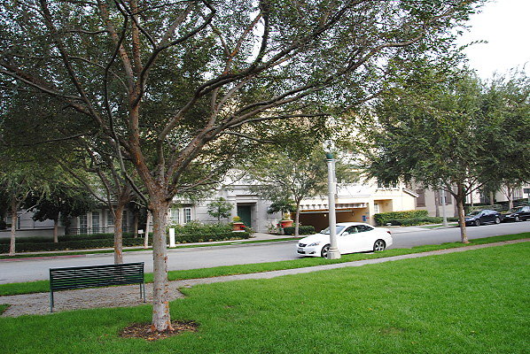 DSC 0112