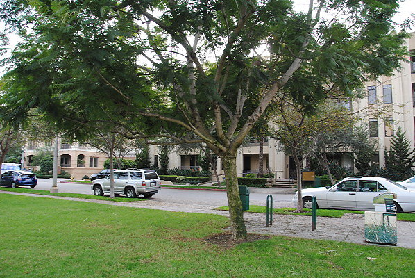 DSC 0084