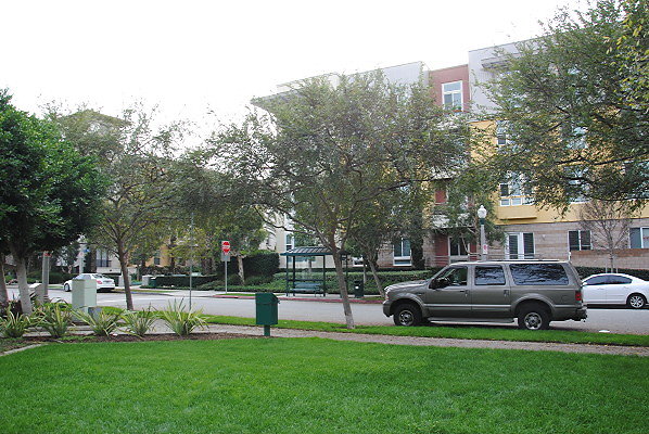 DSC 0108