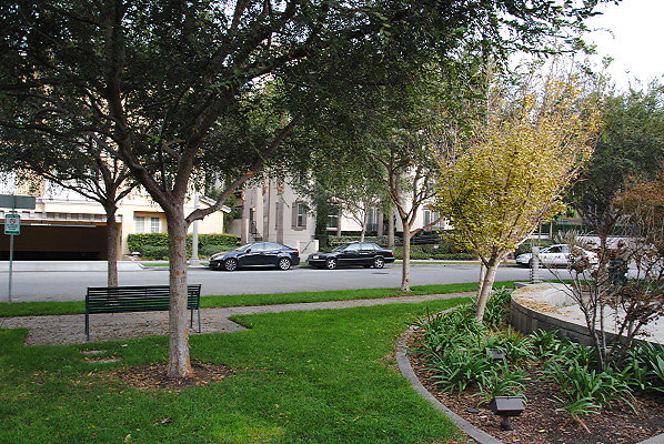 DSC 0118