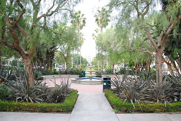 DSC 0098