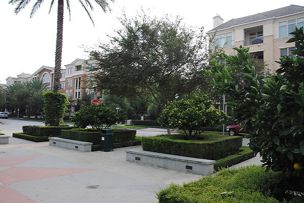 DSC 0079