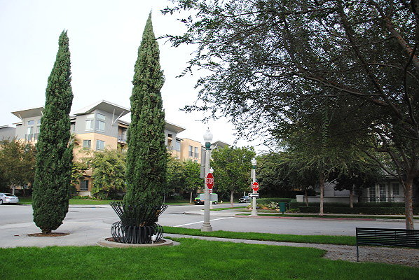 DSC 0111