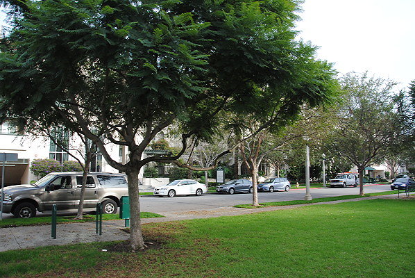 DSC 0082