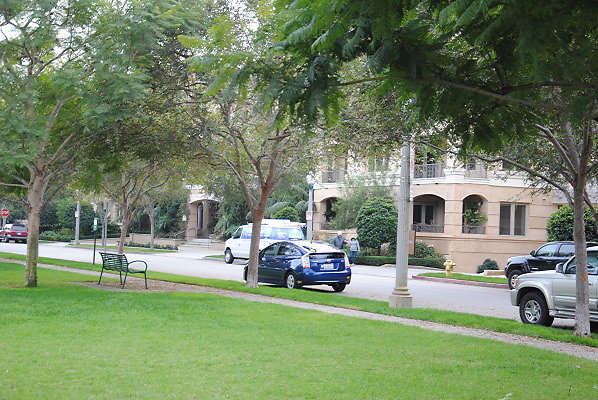 DSC 0087
