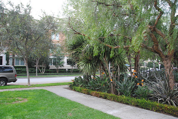 DSC 0097